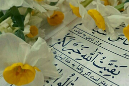 بررسی دلایل قرآنی ، روایی و تاریخی مبنی بر امکان زن بودن حضرت ولی عصر (عج)