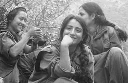 چریک‌های مهربان. بخش پنجم