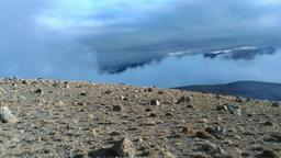 رفاقت با زمان