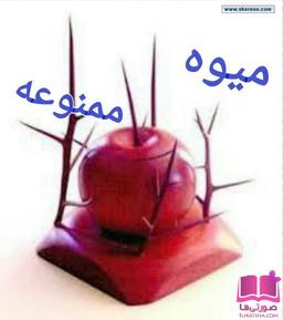 نقد الهیات عدم پذیرش خطا در مورد ویروس کرونا