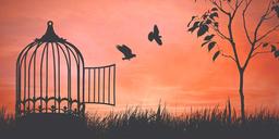 آزادی دلیل میخواهد ، محدودیت دلیل نمیخواهد