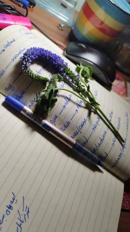 آداب صداقت در دمای ۴۵ درجه