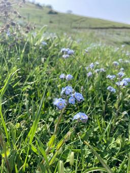 "قصه‌ای از شاهرود، خرگوش، زندگی و وداع" قسمت ۲