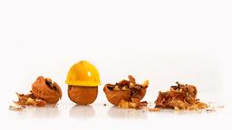 چرا کمپانی‌های بزرگ اصرار به شکست خوردن و اشتباه کردن دارند؟