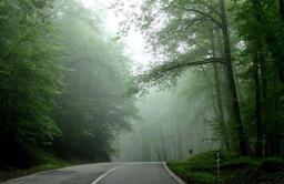 با خرید ویلا در کلاردشت؛ چه چیزهایی بدست می‌آوریم؟