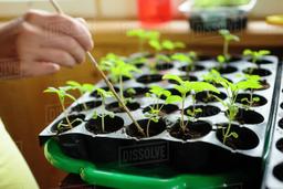 خوب،بد،تراریخته...!!!