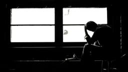 ترافیک روان، در نبود شادروان!