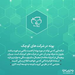 پونه  در شرکت های کوچک