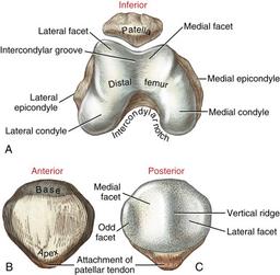 درد های جلوی زانو و درمان آن