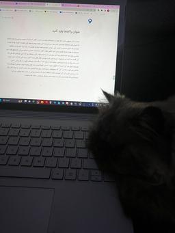 خواب در چشم ترم مي شكند