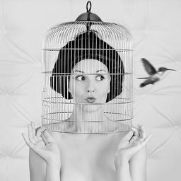 هممون رویای بزرگی داریم...