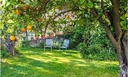 جامعه مردسالاره یا زنان مردها رو سالار می کنند !