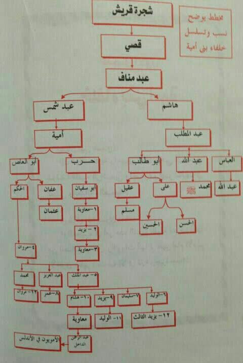 🔹این شجره نامه مختصر قریش رو هم داشته باشید!