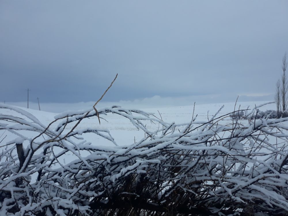 یه روز برفی  