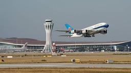 لعنتی فرودگاه؛ لعنتی فرودگاه؛ لعنتی فرودگاه.