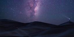 پرندۀ مهاجر