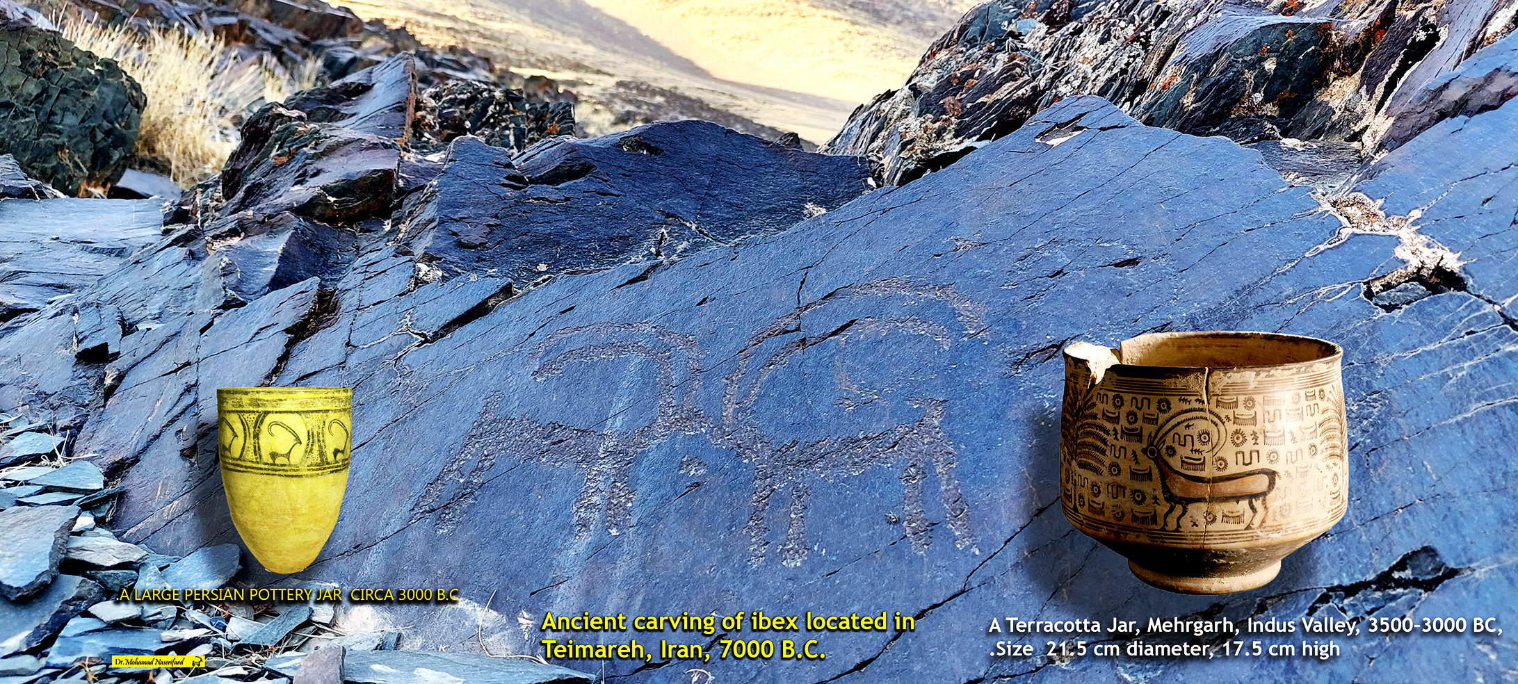 رد پای نقاشی های کهن بزکوهی بر دیواره ی کوه، نماد ایرانیان باستان، از هنر سنگ تا طرح روی سفالینه های پیش از تاریخ