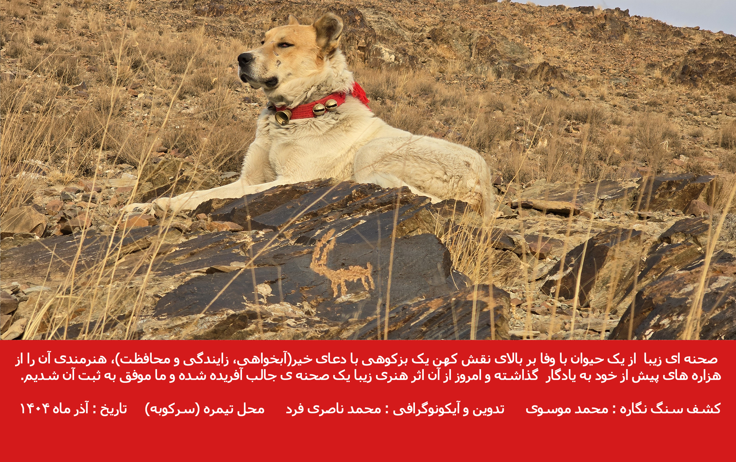 صحنه ای زیبا از سگ گله و نقاشی کهن بزکوهی