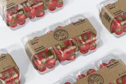 بسته بندی توت فرنگی صادراتی را چگونه انجام دهیم؟