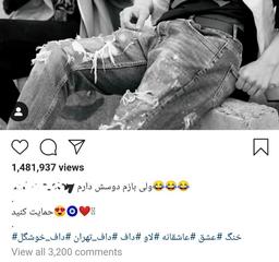 زرد های پرطرفدار