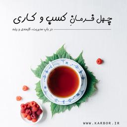 چهل فرمانِ کسب و کاری (0)