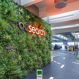 گل و گیاه مصنوعی زیبایی های زندگی