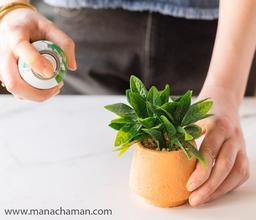 معرفی چند روش تمیز کردن گل مصنوعی