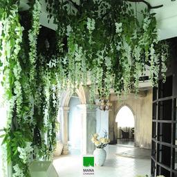 تاریخچه گیاه مصنوعی