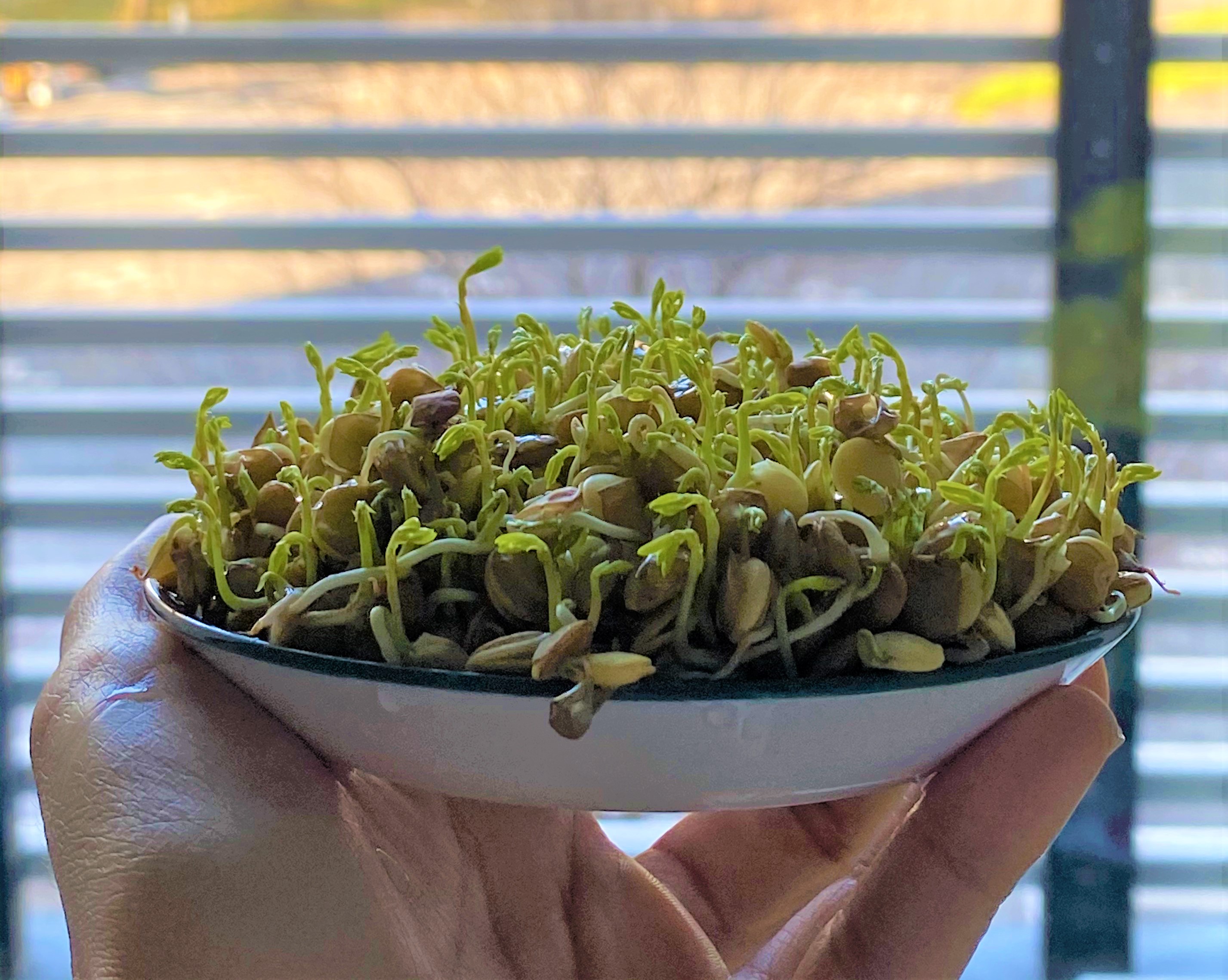 سال ٩٨ که بود و چه کرد؟ (٢ نمره)