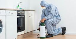 بهترین شرکت سمپاشی در تهران