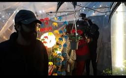 پروژه فیلم کوتاه فیلهای سفید