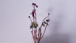 بیشترِ اضطراب‌ها فقط ترسِ ترکیدن حبابی‌ان که دورِ ضعف‌هامون کشیدیم؛ و نترکیدن کابوس حباب‌هاست