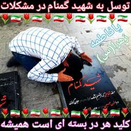 سید محمد حسینی منبت کار ملایری