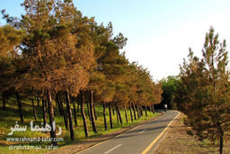 پارک شیان لویزان تهران