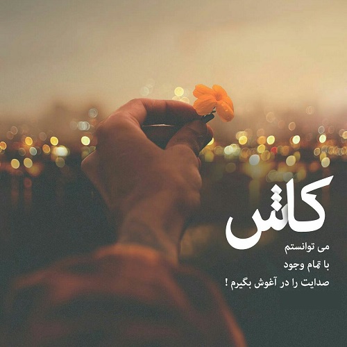 چند تا ویس توی تلگرام ازت دارم عسل. حیف که کفاف نمیده.