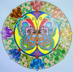 یکی از تناقض های درونی من