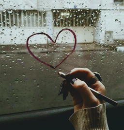 باید دنبال خوشحالی بگردم