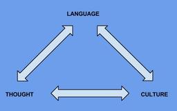 ثانیه‌ای درون ذهن یک مترجم!
