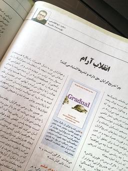 انقلاب آرام