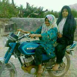 همایش علمی در پارک محله