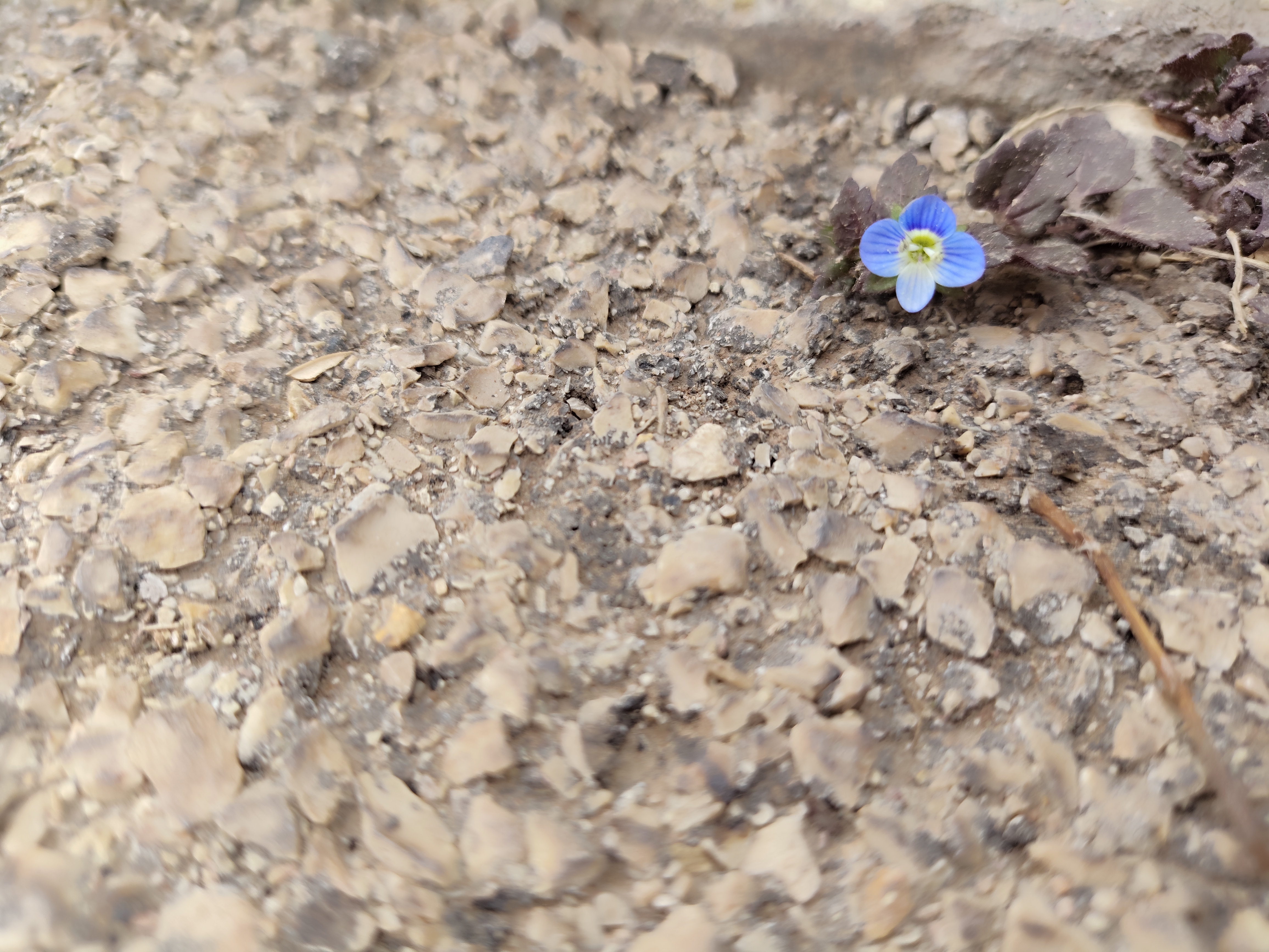 جلسات بیخودی یا «بی‌مایه فطیر است ۲»