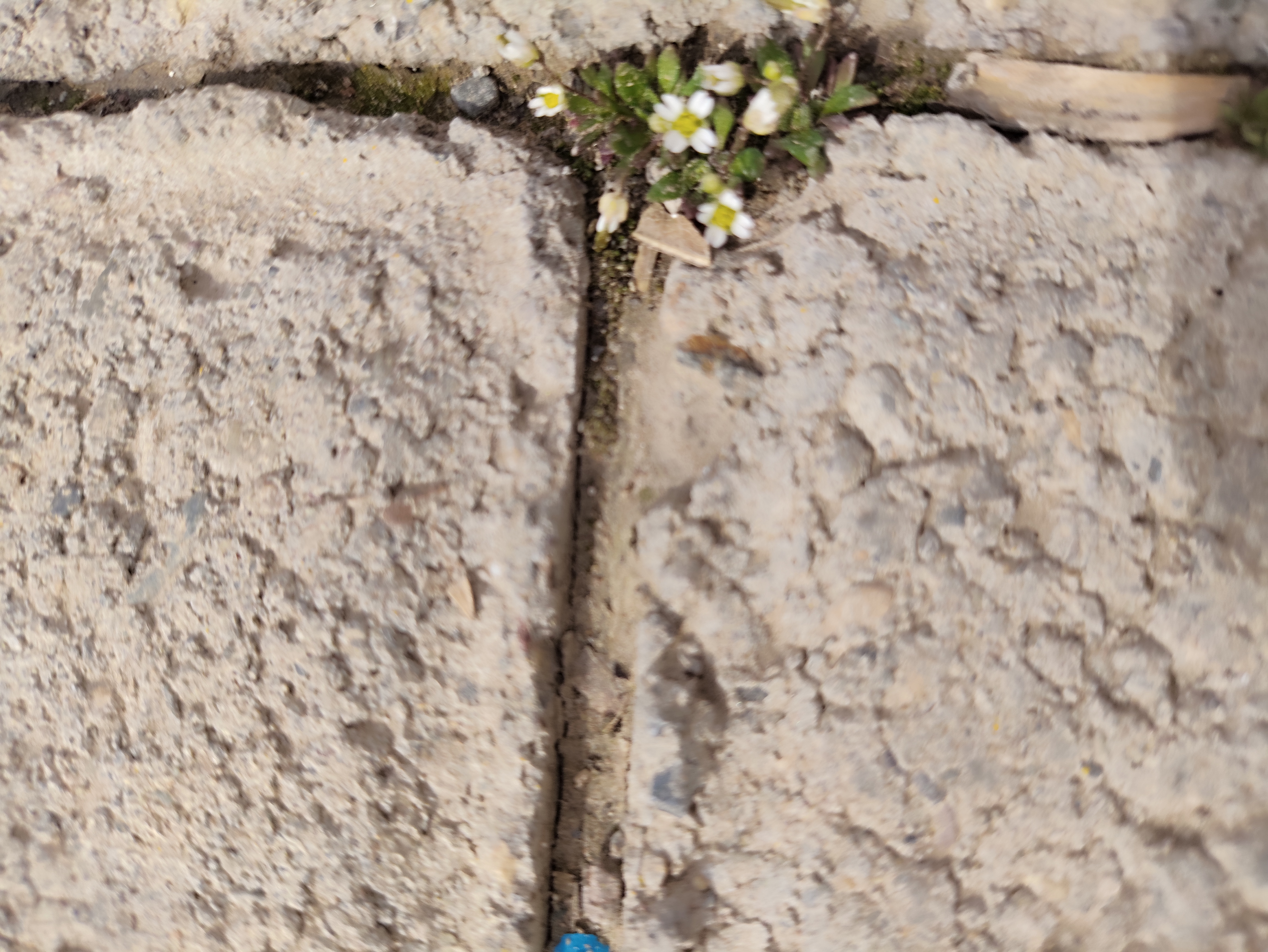 یکروز قبل از مهر یا...