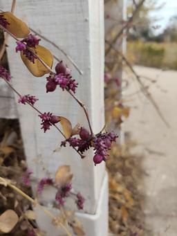 یادداشت‌های آقای معلم