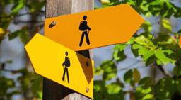 انتخاب سختِ درست