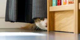 پنهان سازی اطلاعات