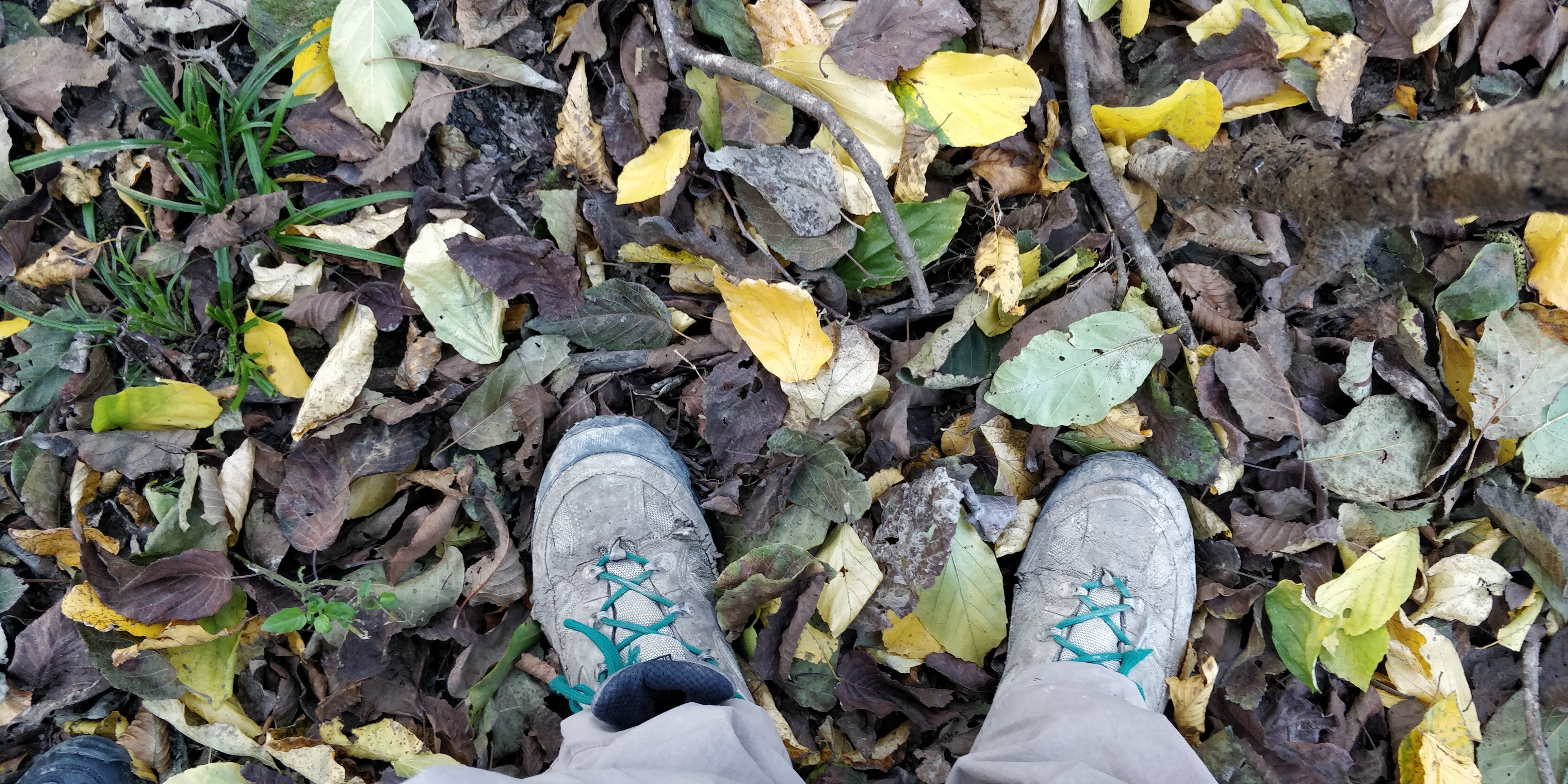 یه عکس از همون روزها - میون جنگل