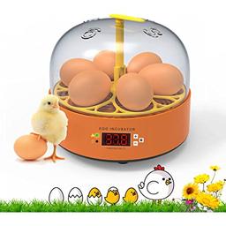 بلدی جوجه بکشی ؟! کار هر کسی نیست !