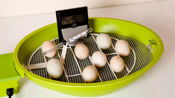 کدام دستگاه جوجه کشی بهترین است ؟