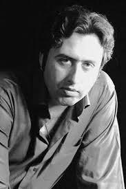 فرم در غزل پست مدرن/نیلوفر مسیح