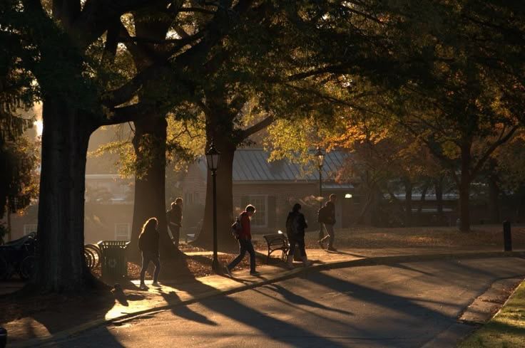 زندگی کردن!